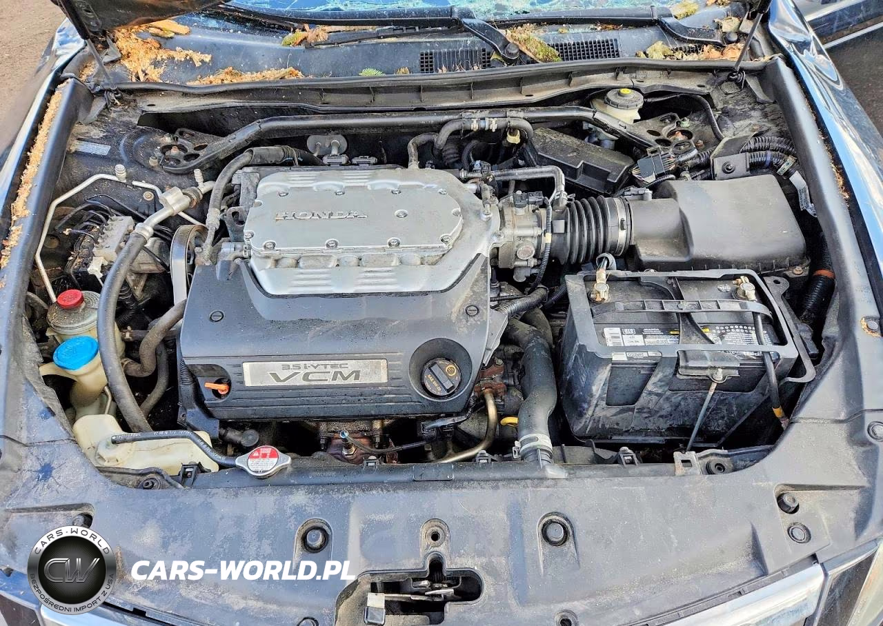 2011 Honda Accord Exl VIN:1HGCP3F8XBA015885 - 11