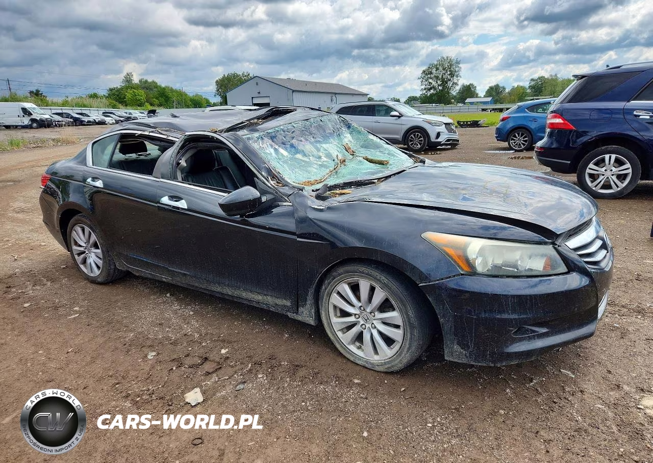 2011 Honda Accord Exl VIN:1HGCP3F8XBA015885 - 4