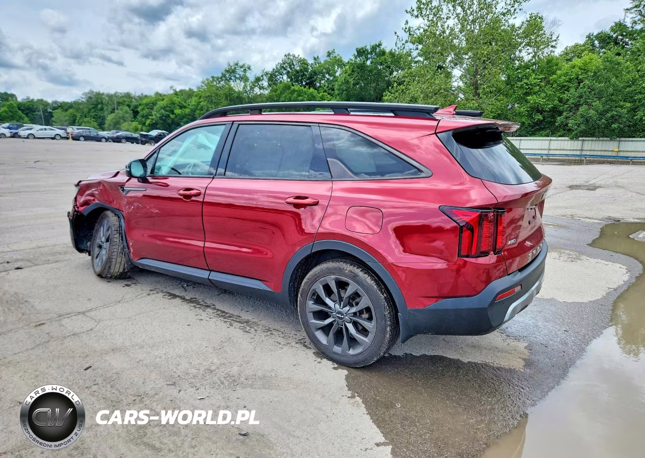 2022 Kia Sorento Ex VIN:5XYRHDLF9NG134482 - 2