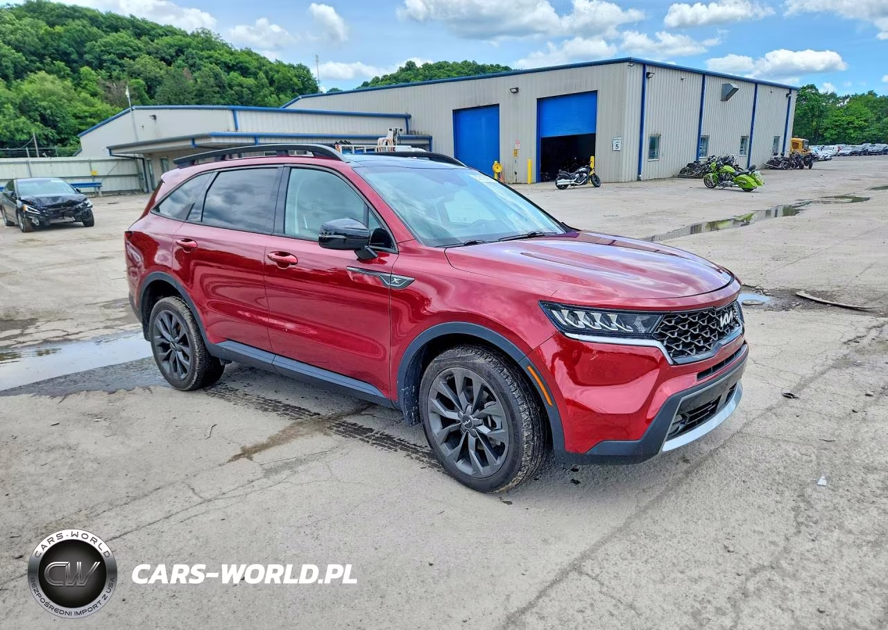 2022 Kia Sorento Ex VIN:5XYRHDLF9NG134482 - 4