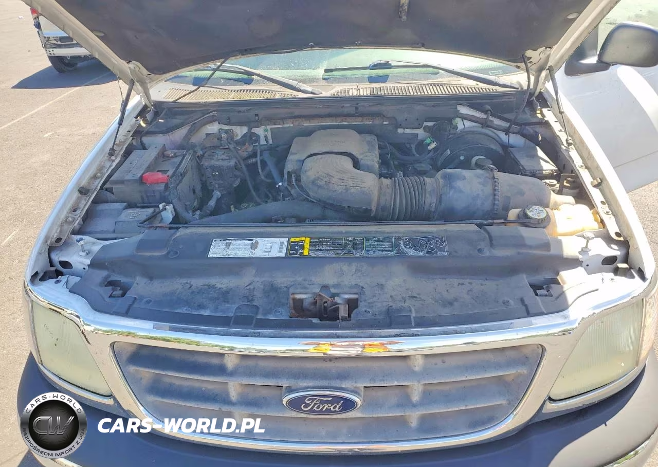 2002 Ford F-150 VIN:1FTRX17W02NB82565 - 11