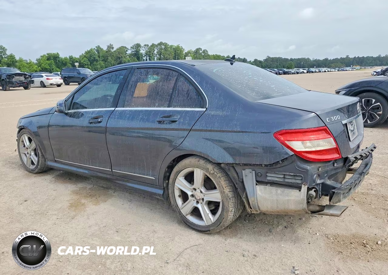 2010 Mercedes-Benz C 300 4Matic VIN:WDDGF8BB7AR124330 - 2