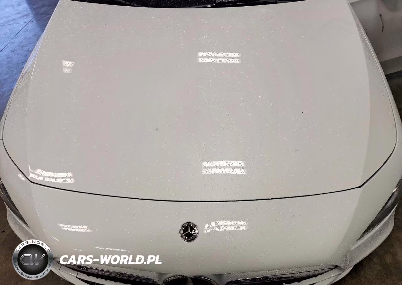 2019 Mercedes-Benz A 220 4Matic VIN:WDD3G4FBXKW020934 - 11