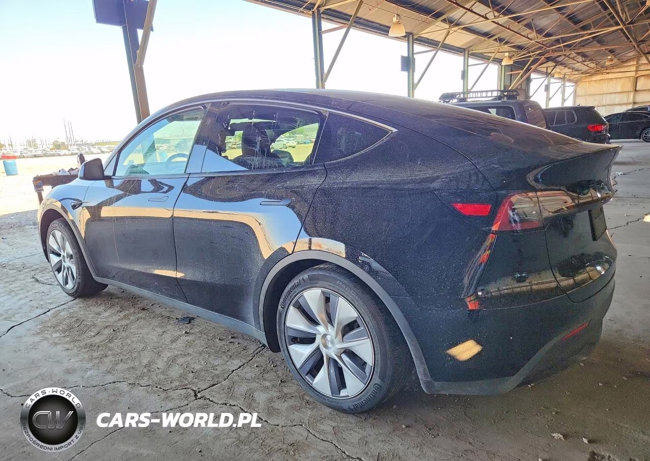 2023 Tesla Model Y VIN:7SAYGDEE0PF920459 - 2