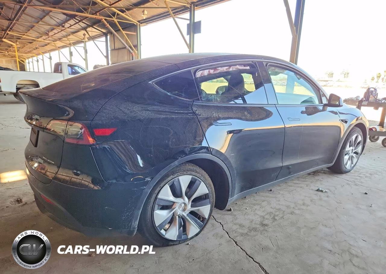 2023 Tesla Model Y VIN:7SAYGDEE0PF920459 - 3
