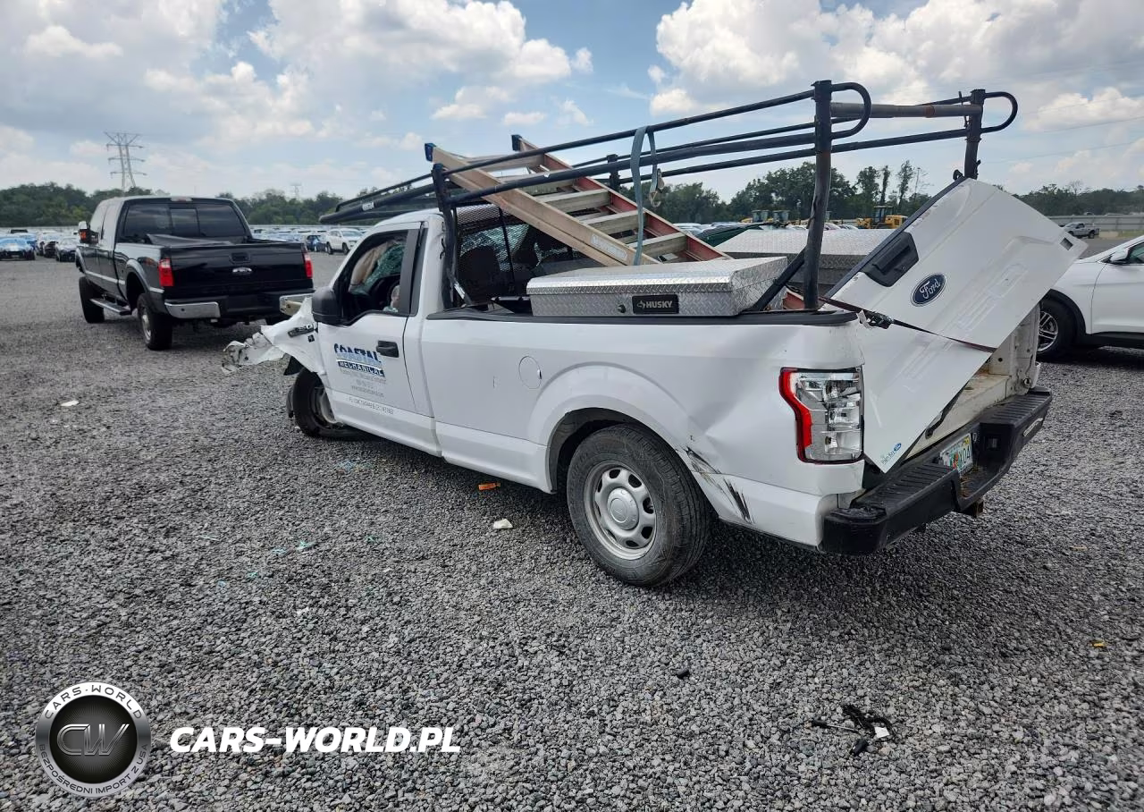 2019 Ford F150 VIN:1FTMF1CB8KKC46496 - 2