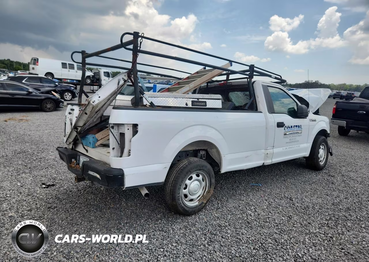 2019 Ford F150 VIN:1FTMF1CB8KKC46496 - 3