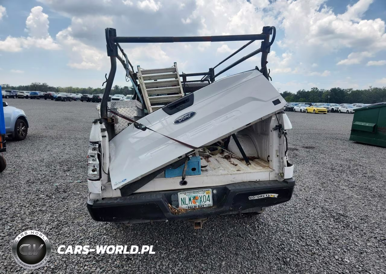 2019 Ford F150 VIN:1FTMF1CB8KKC46496 - 6