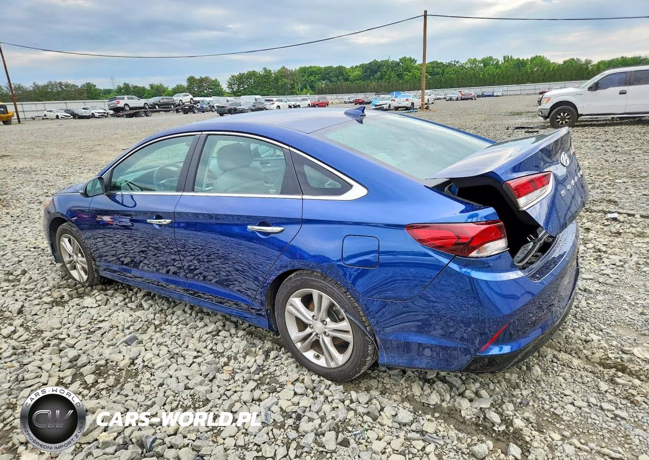 2019 Hyundai Sonata Sel VIN:5NPE34AF9KH757248 - 2