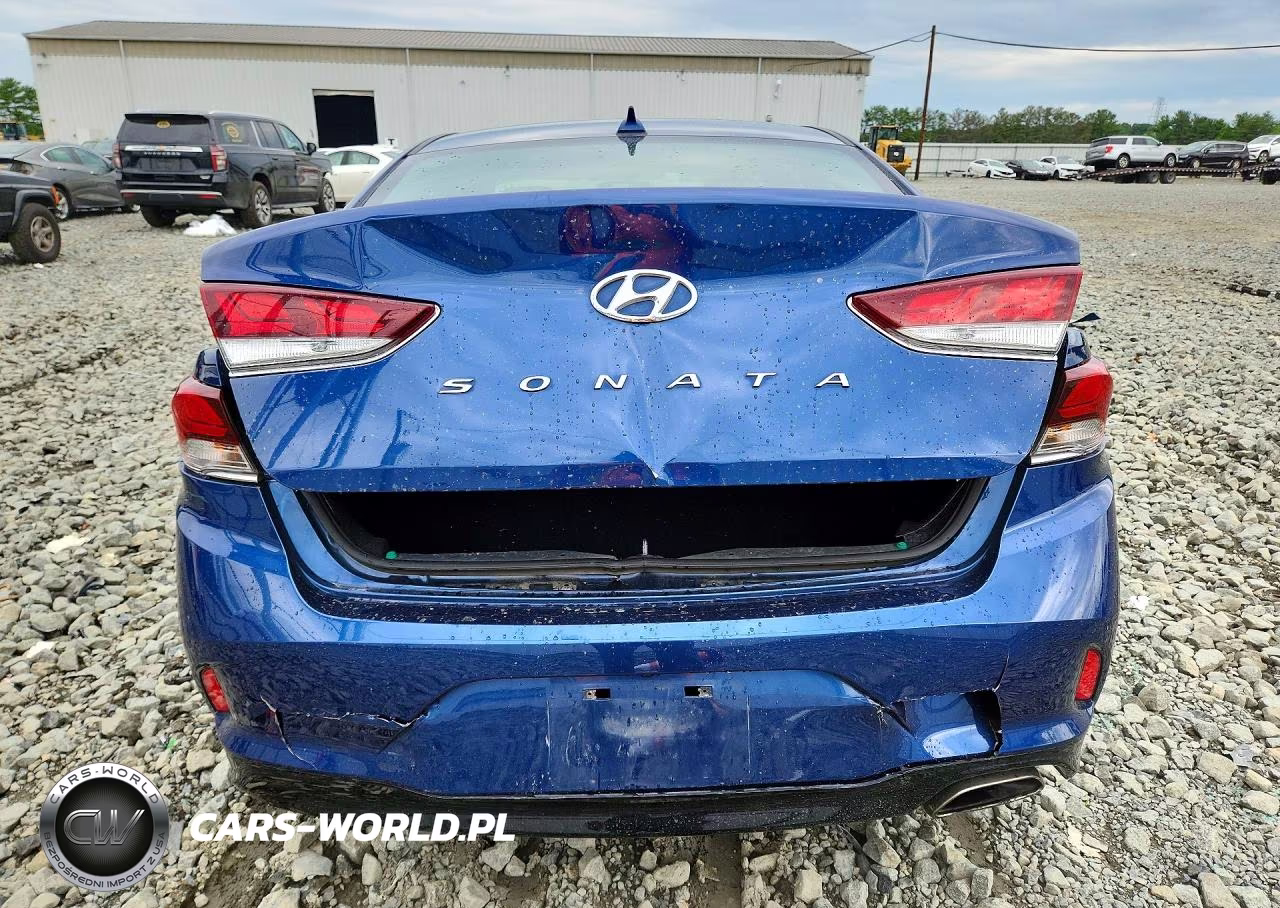 2019 Hyundai Sonata Sel VIN:5NPE34AF9KH757248 - 6