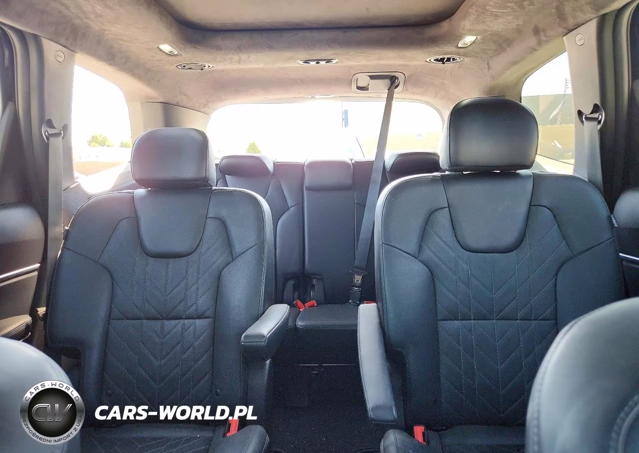 2024 Kia Telluride Sx-Prestige X-Pro VIN:5XYP5DGC5RG501710 - 10