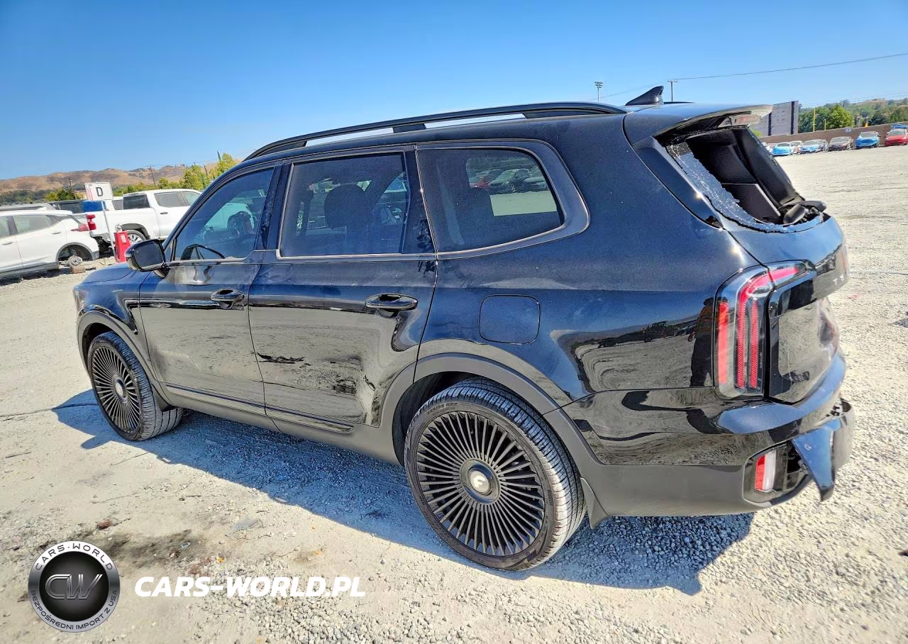 2024 Kia Telluride Sx-Prestige X-Pro VIN:5XYP5DGC5RG501710 - 2