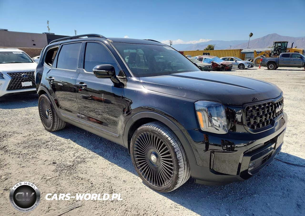 2024 Kia Telluride Sx-Prestige X-Pro VIN:5XYP5DGC5RG501710 - 4