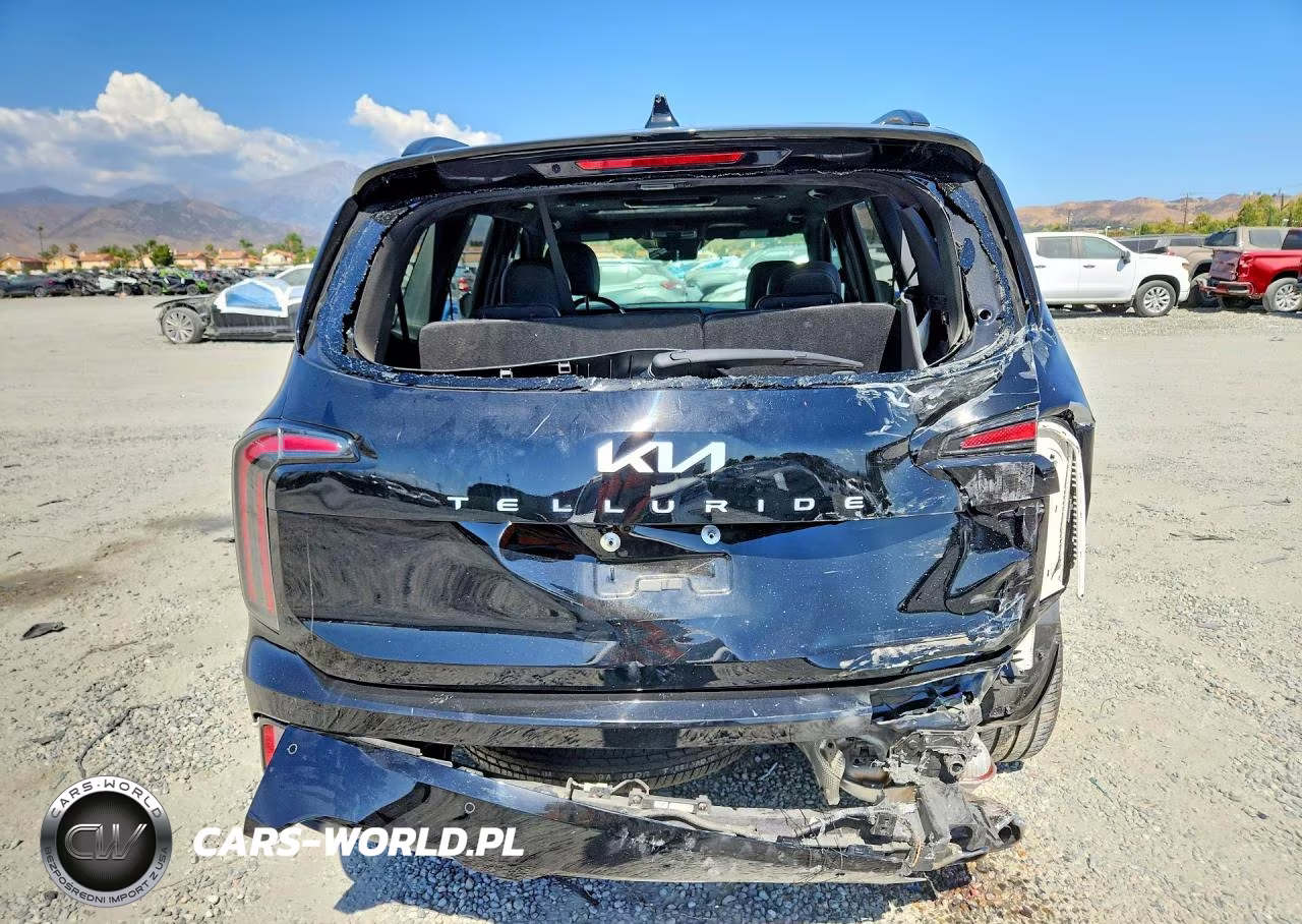 2024 Kia Telluride Sx-Prestige X-Pro VIN:5XYP5DGC5RG501710 - 6