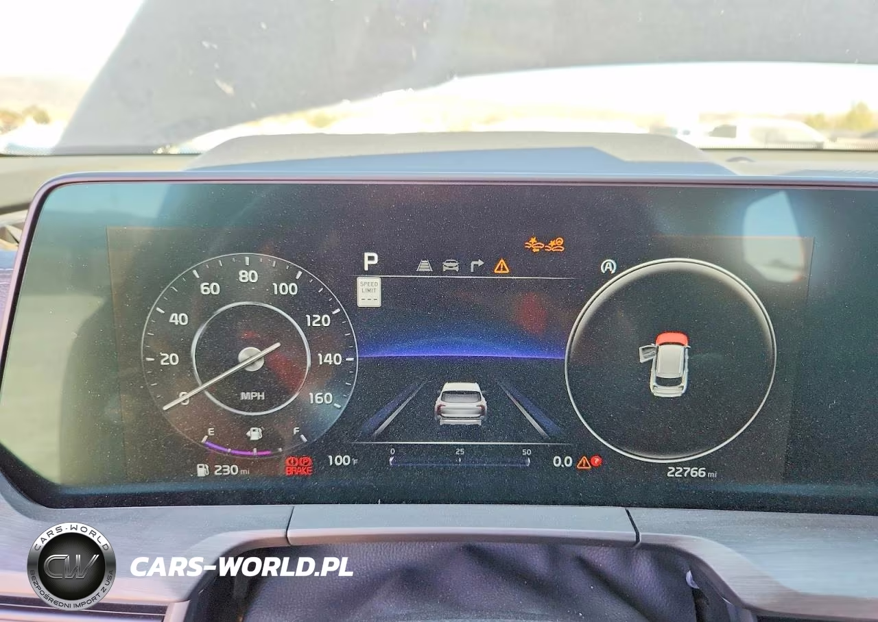 2024 Kia Telluride Sx-Prestige X-Pro VIN:5XYP5DGC5RG501710 - 9