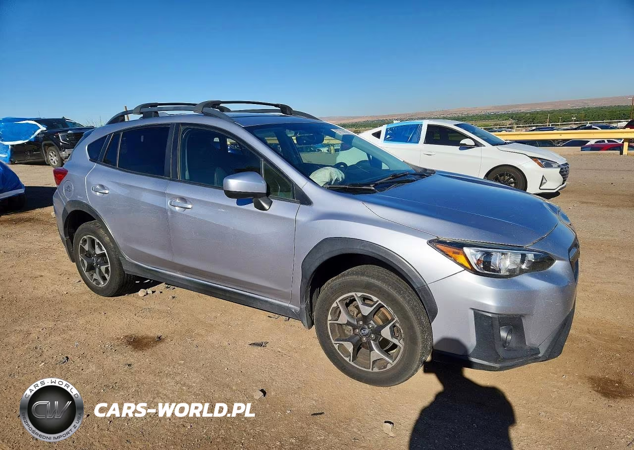 2019 Subaru Crosstrek Premium VIN:JF2GTAEC5K8243453 - 4