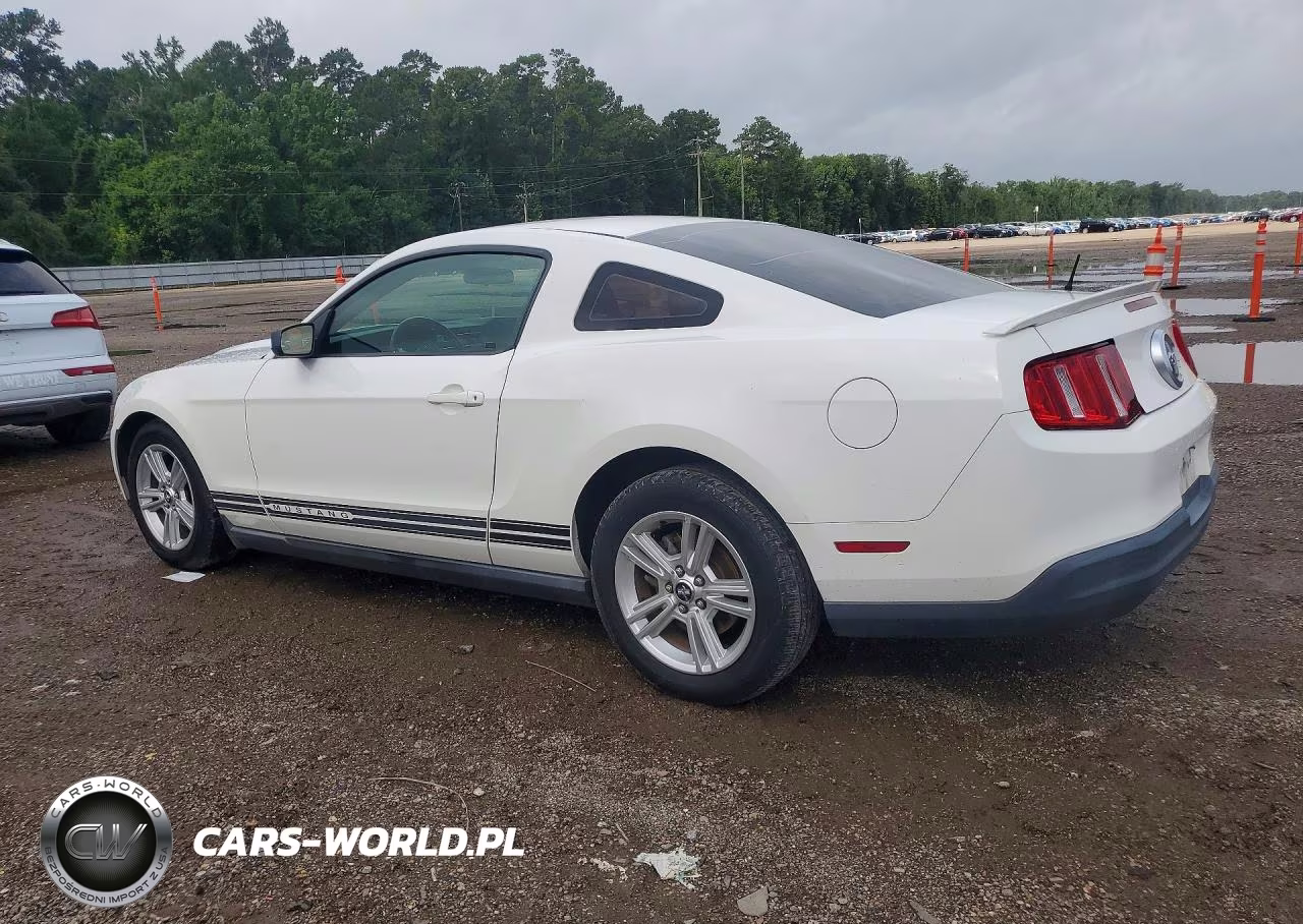 2010 Ford Mustang VIN:1ZVBP8ANXA5131239 - 2