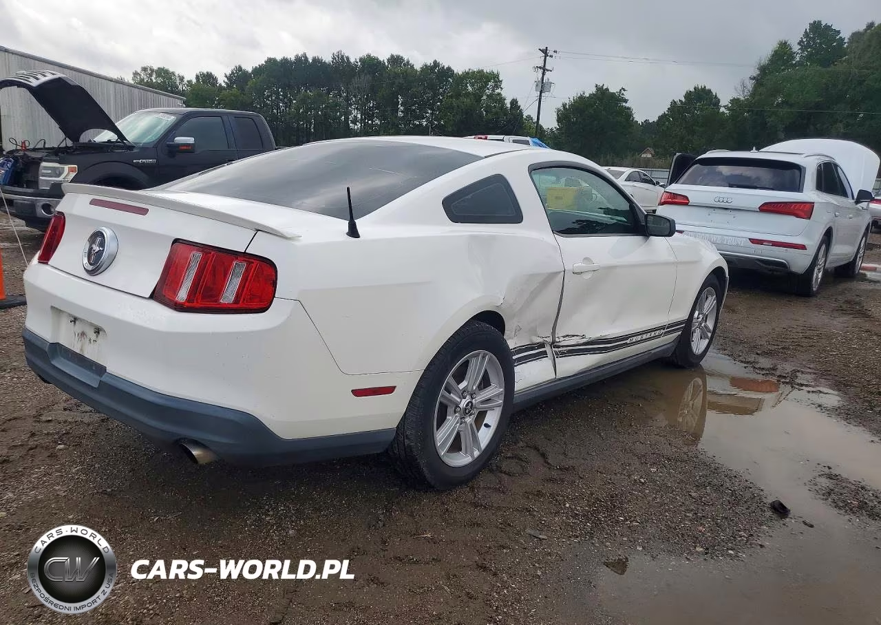 2010 Ford Mustang VIN:1ZVBP8ANXA5131239 - 3
