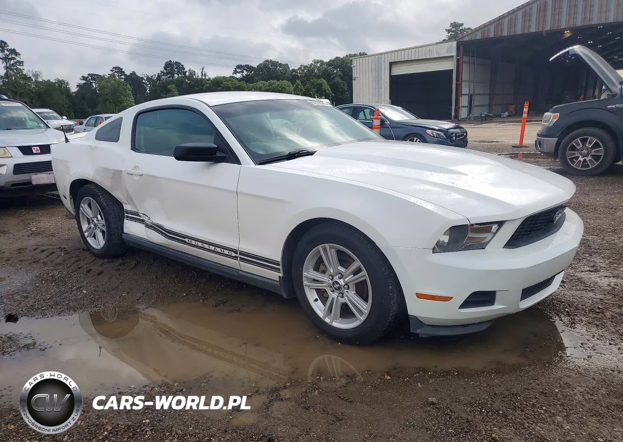 2010 Ford Mustang VIN:1ZVBP8ANXA5131239 - 4