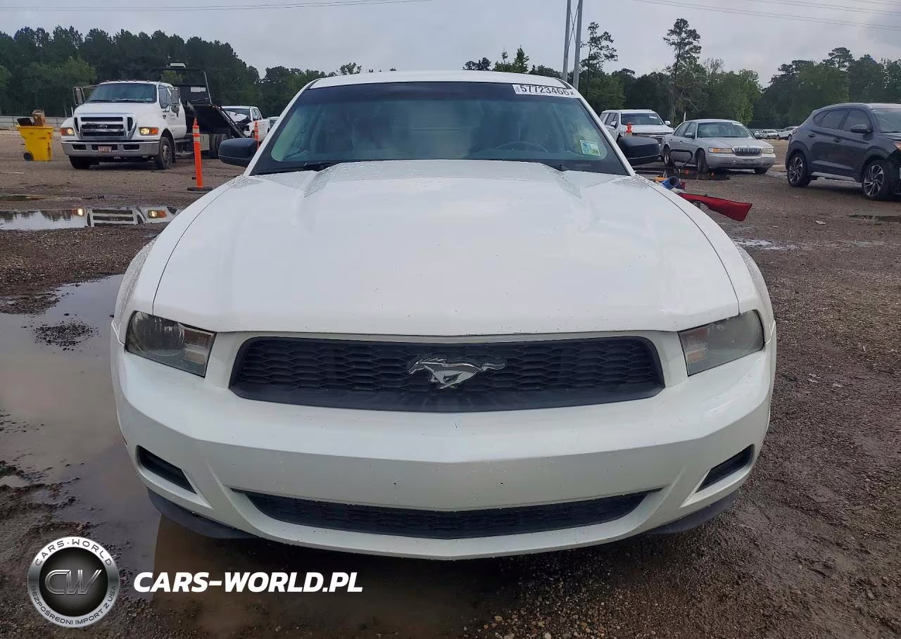 2010 Ford Mustang VIN:1ZVBP8ANXA5131239 - 5