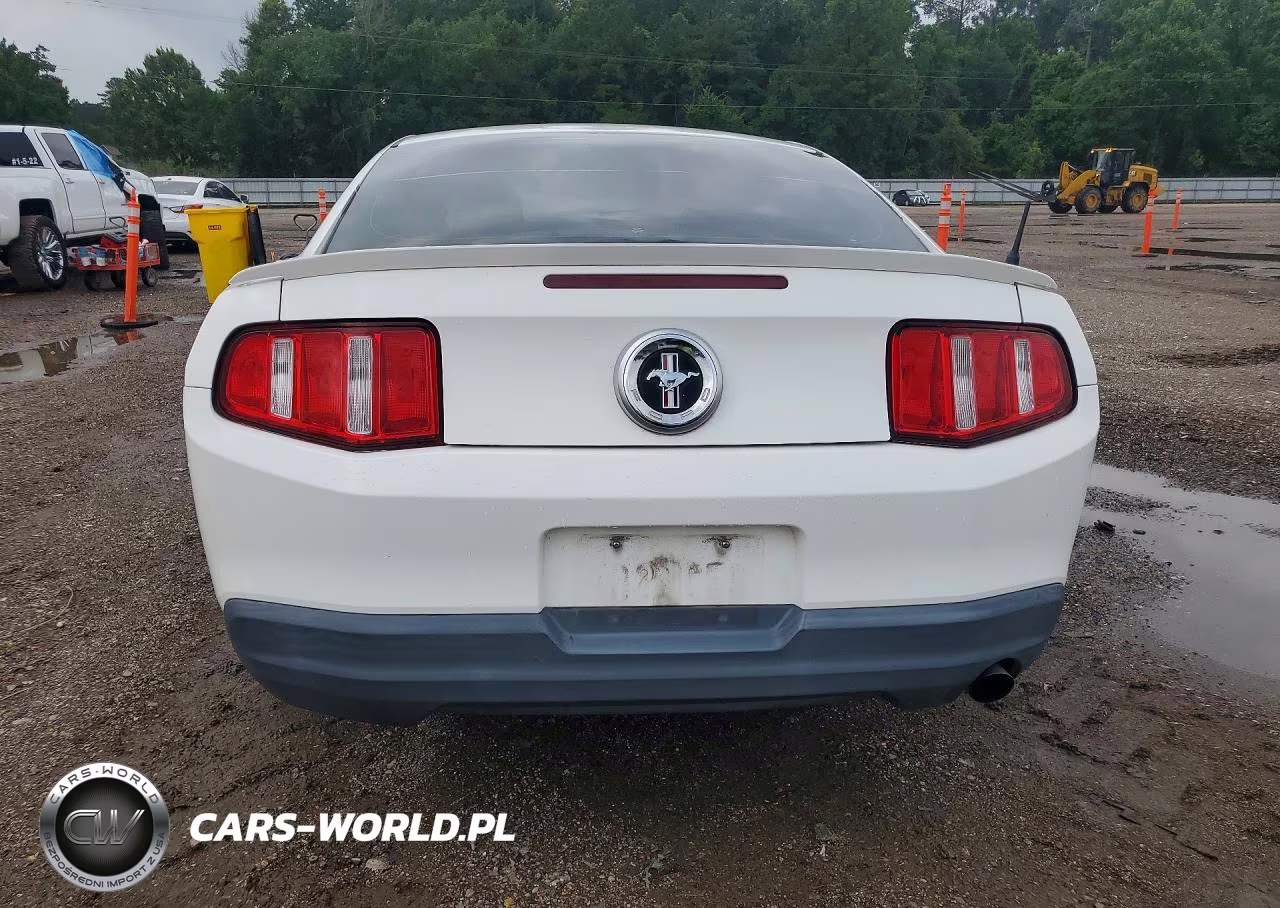 2010 Ford Mustang VIN:1ZVBP8ANXA5131239 - 6