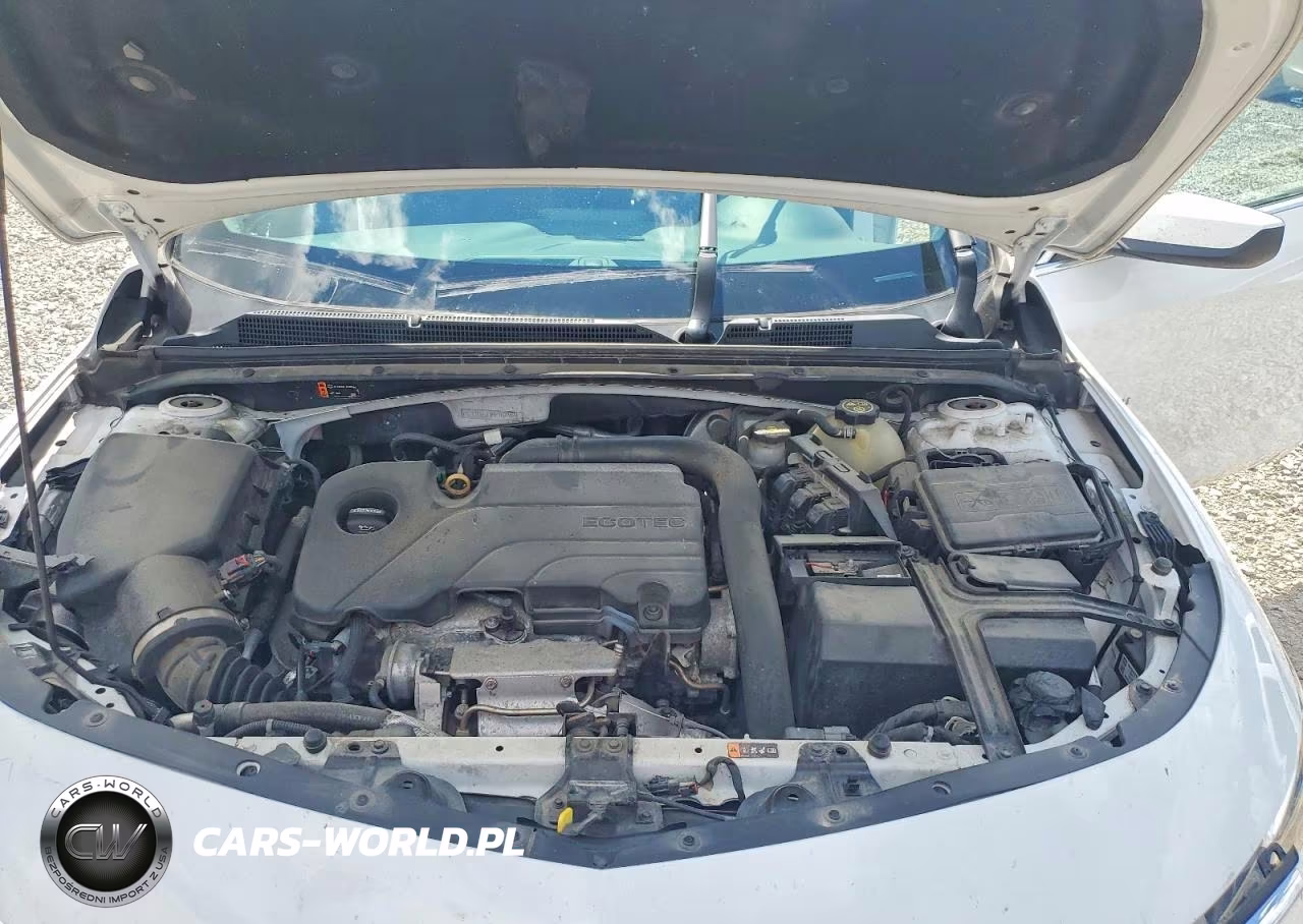 2019 Chevrolet Malibu Lt VIN:1G1ZD5ST1KF162860 - 11