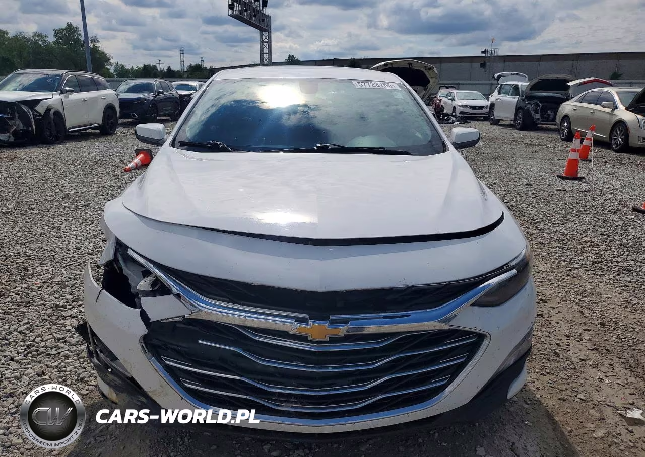 2019 Chevrolet Malibu Lt VIN:1G1ZD5ST1KF162860 - 5