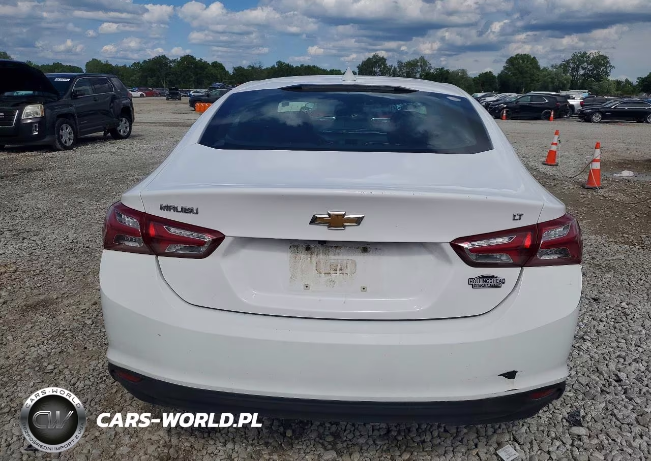 2019 Chevrolet Malibu Lt VIN:1G1ZD5ST1KF162860 - 6