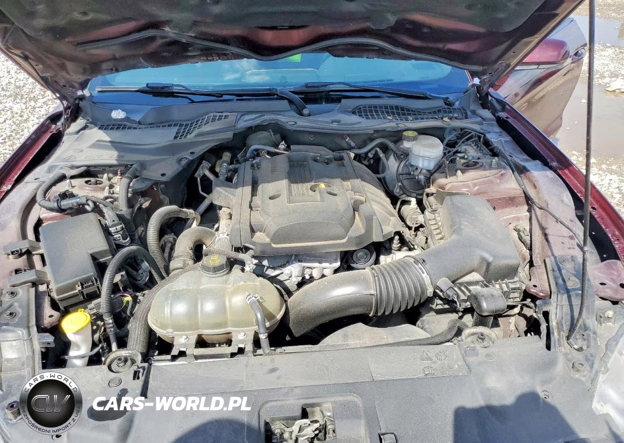 2018 Ford Mustang Ecoboost VIN:1FA6P8THXJ5159642 - 11