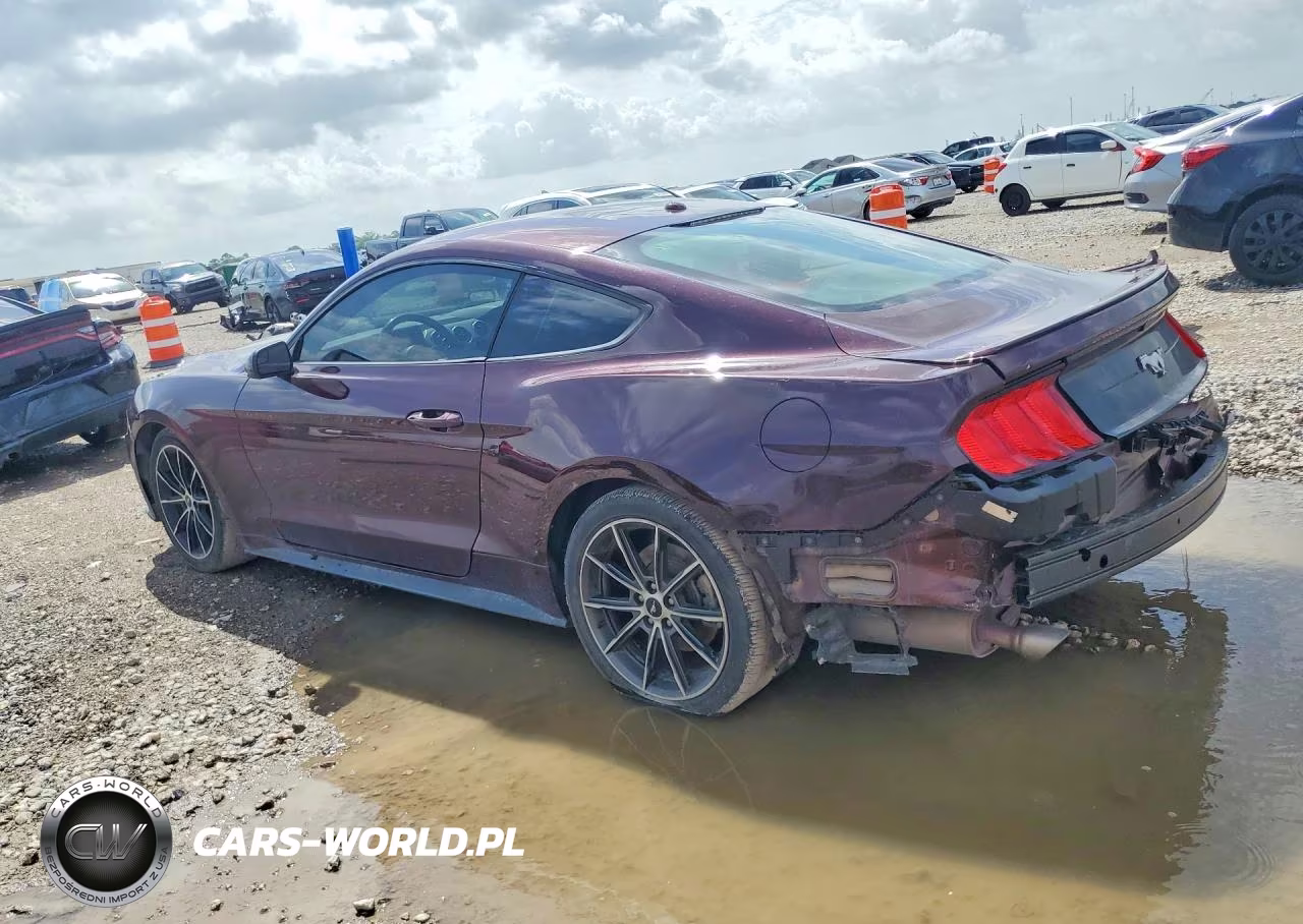 2018 Ford Mustang Ecoboost VIN:1FA6P8THXJ5159642 - 2