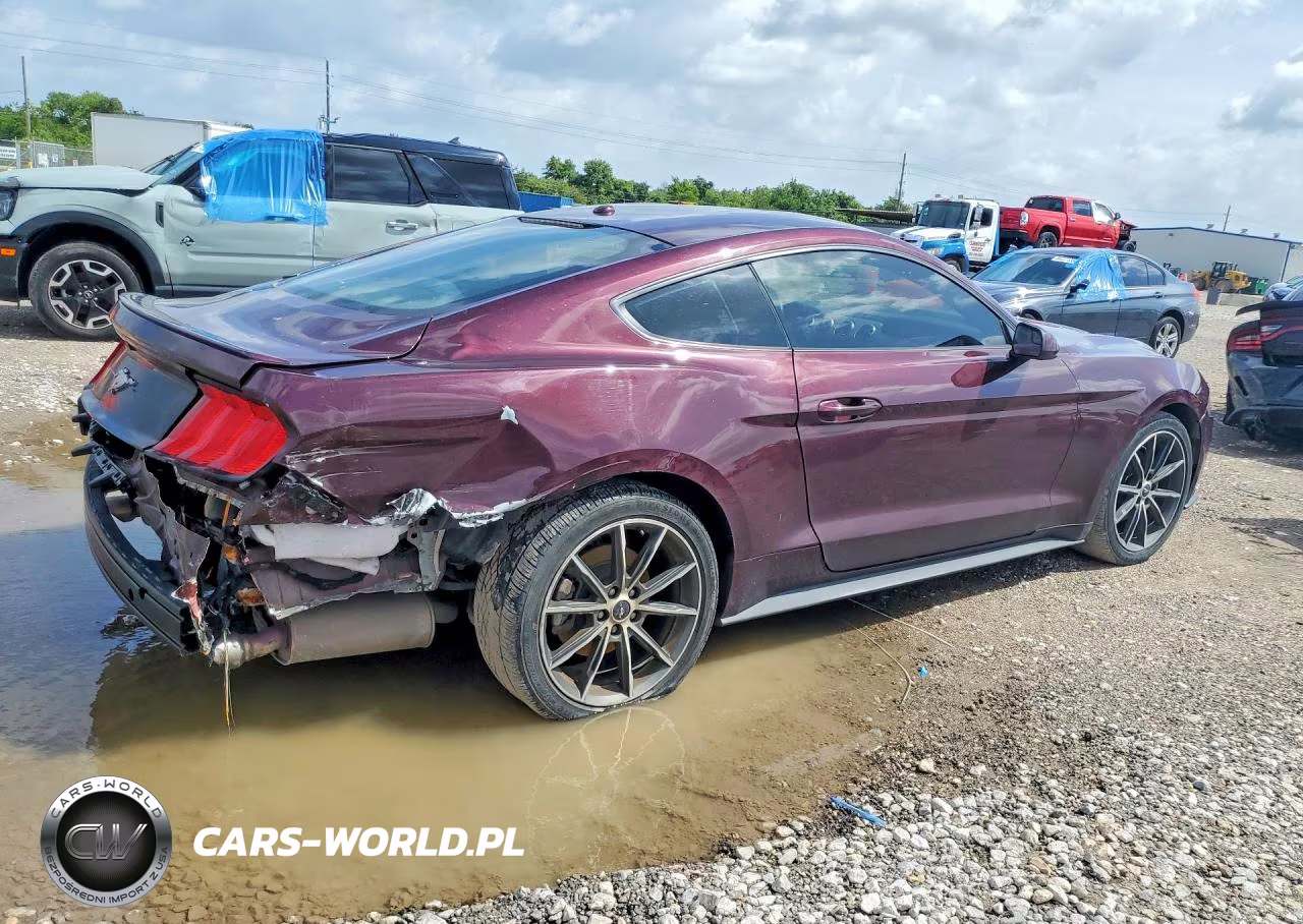 2018 Ford Mustang Ecoboost VIN:1FA6P8THXJ5159642 - 3