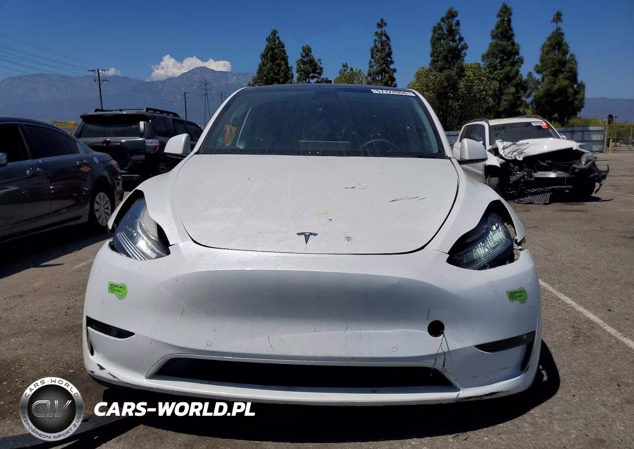 2022 Tesla Model Y VIN:7SAYGDEE1NF444798 - 5