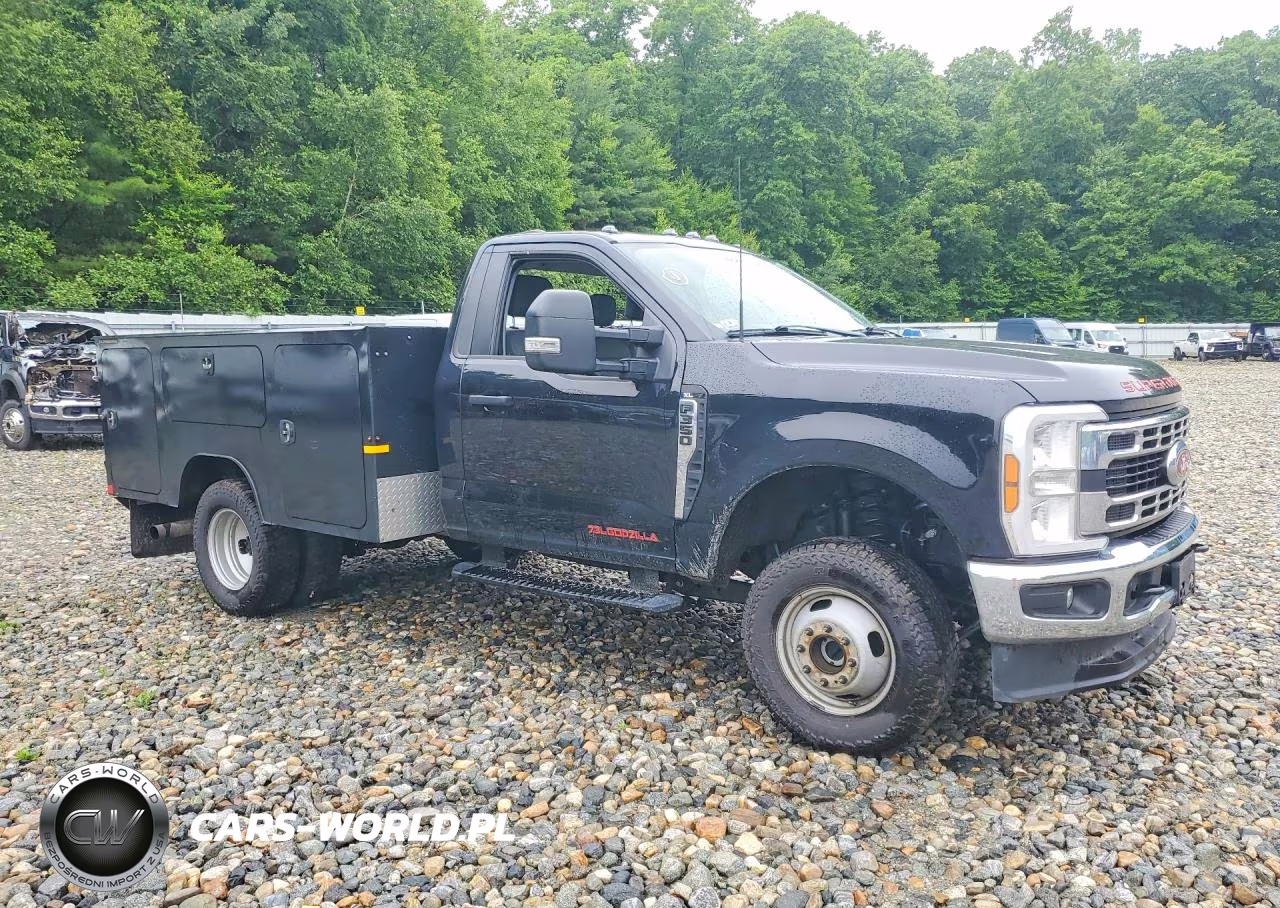2024 Ford F350 Super Duty VIN:1FDRF3HN9RDA01429 - 4