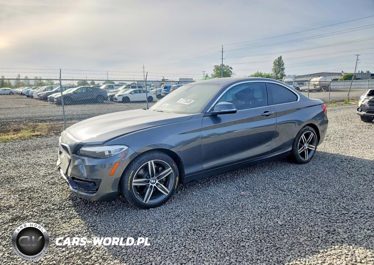 2017 BMW 230Xi