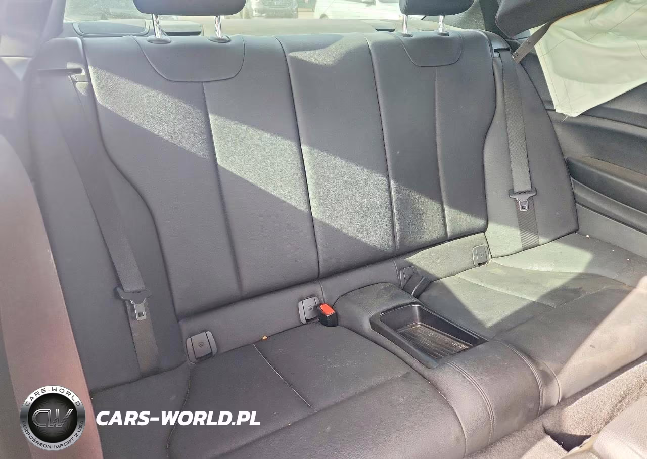 2017 BMW 230Xi VIN:WBA2H9C50HV641917 - 10