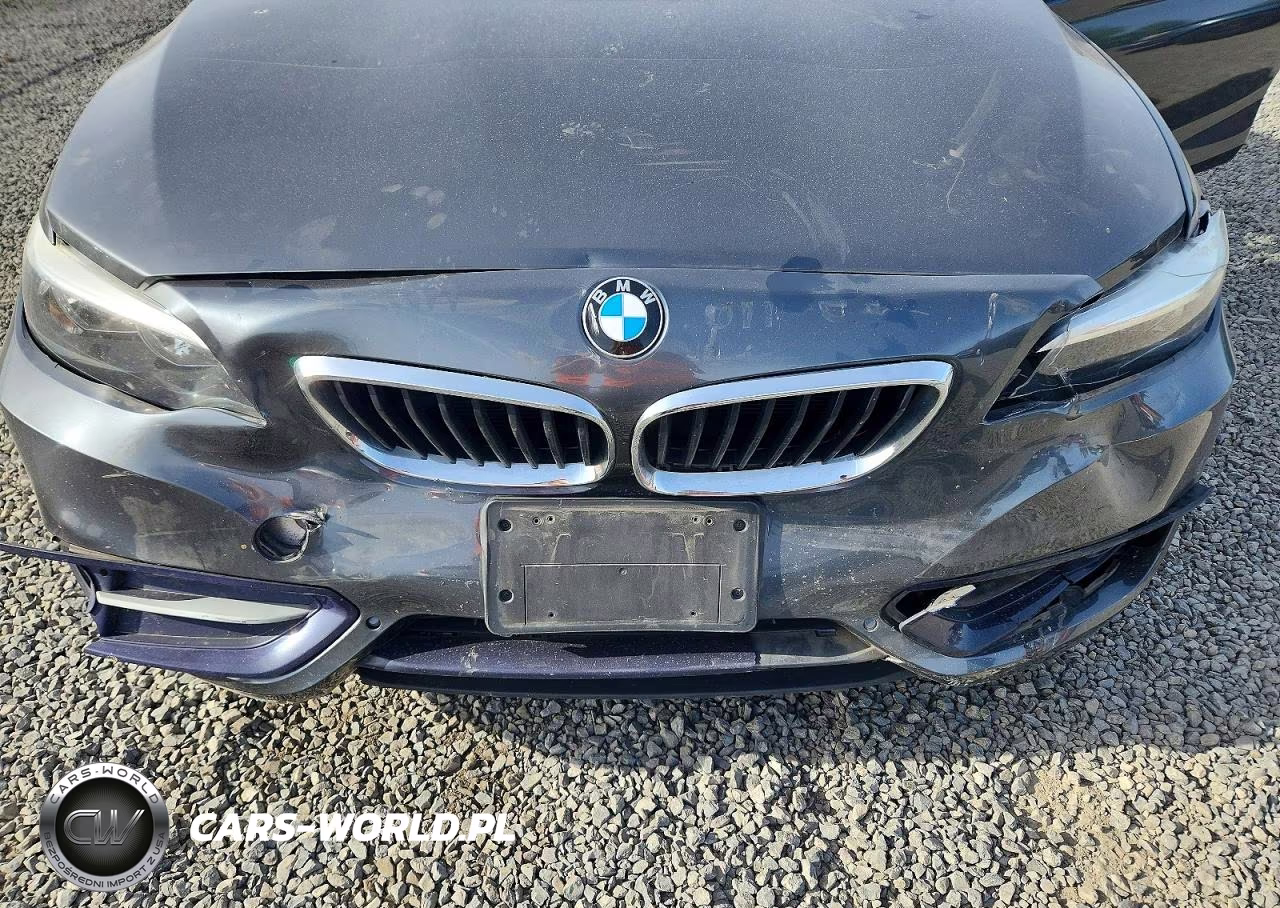 2017 BMW 230Xi VIN:WBA2H9C50HV641917 - 11