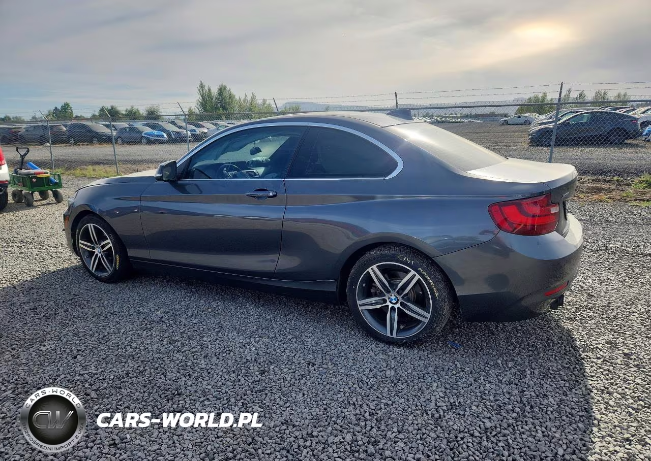 2017 BMW 230Xi VIN:WBA2H9C50HV641917 - 2