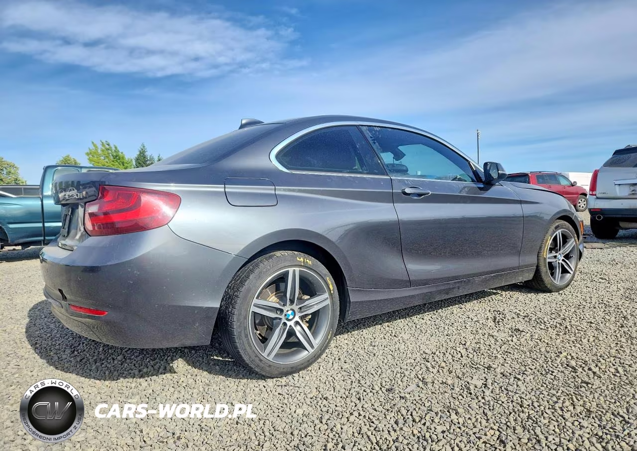 2017 BMW 230Xi VIN:WBA2H9C50HV641917 - 3