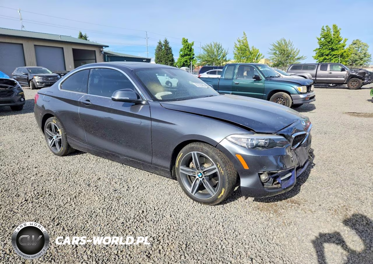 2017 BMW 230Xi VIN:WBA2H9C50HV641917 - 4