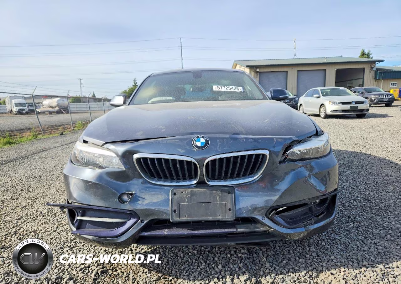 2017 BMW 230Xi VIN:WBA2H9C50HV641917 - 5