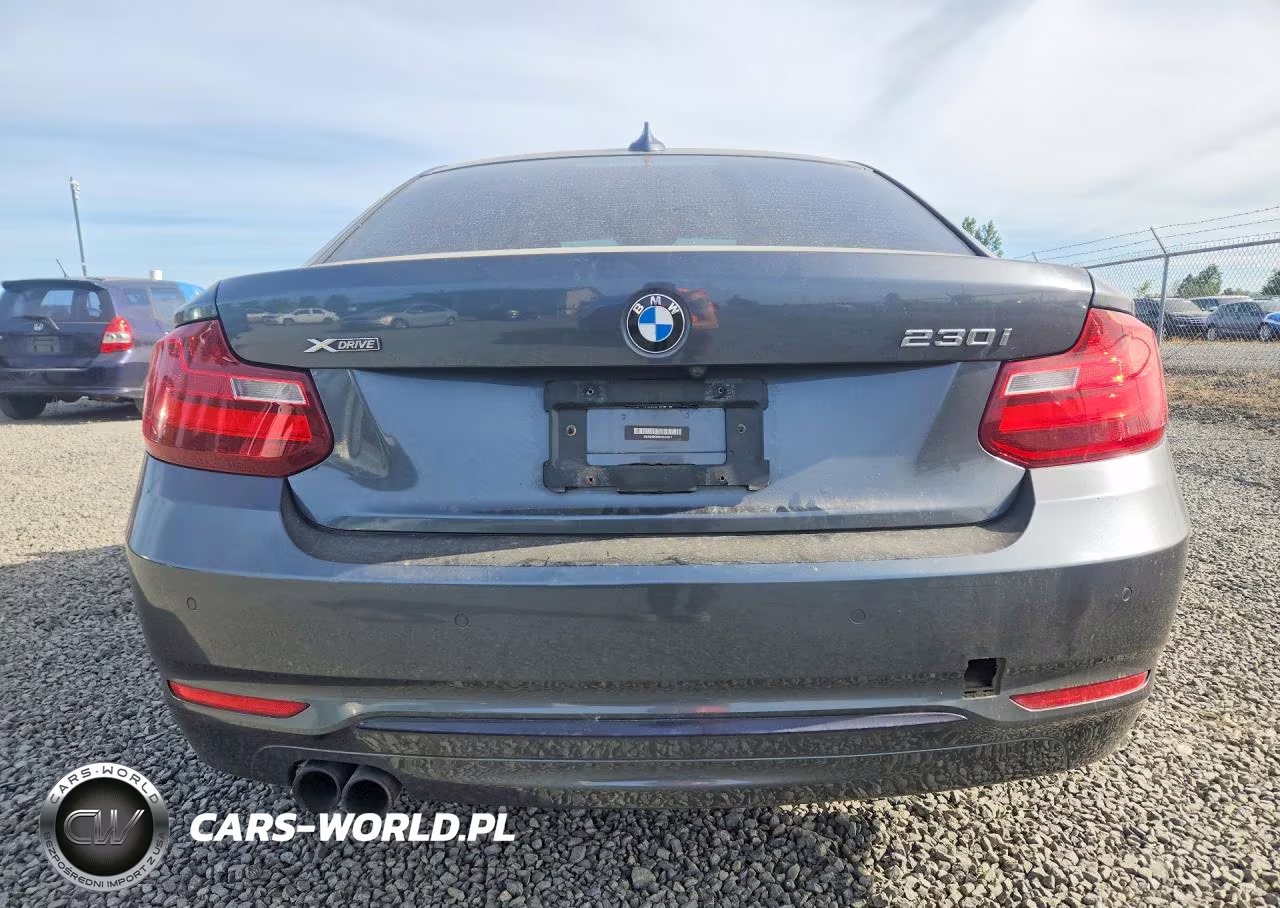2017 BMW 230Xi VIN:WBA2H9C50HV641917 - 6
