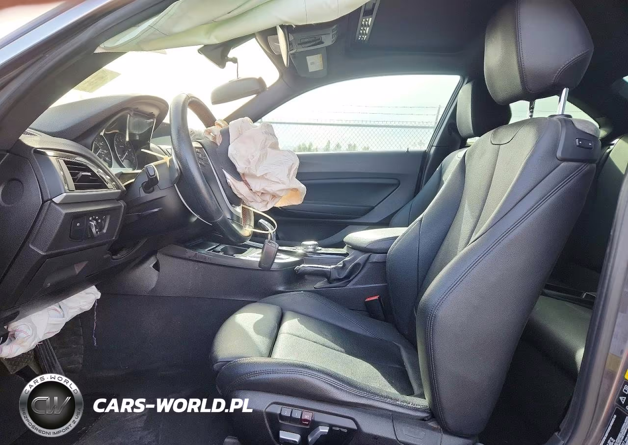 2017 BMW 230Xi VIN:WBA2H9C50HV641917 - 7