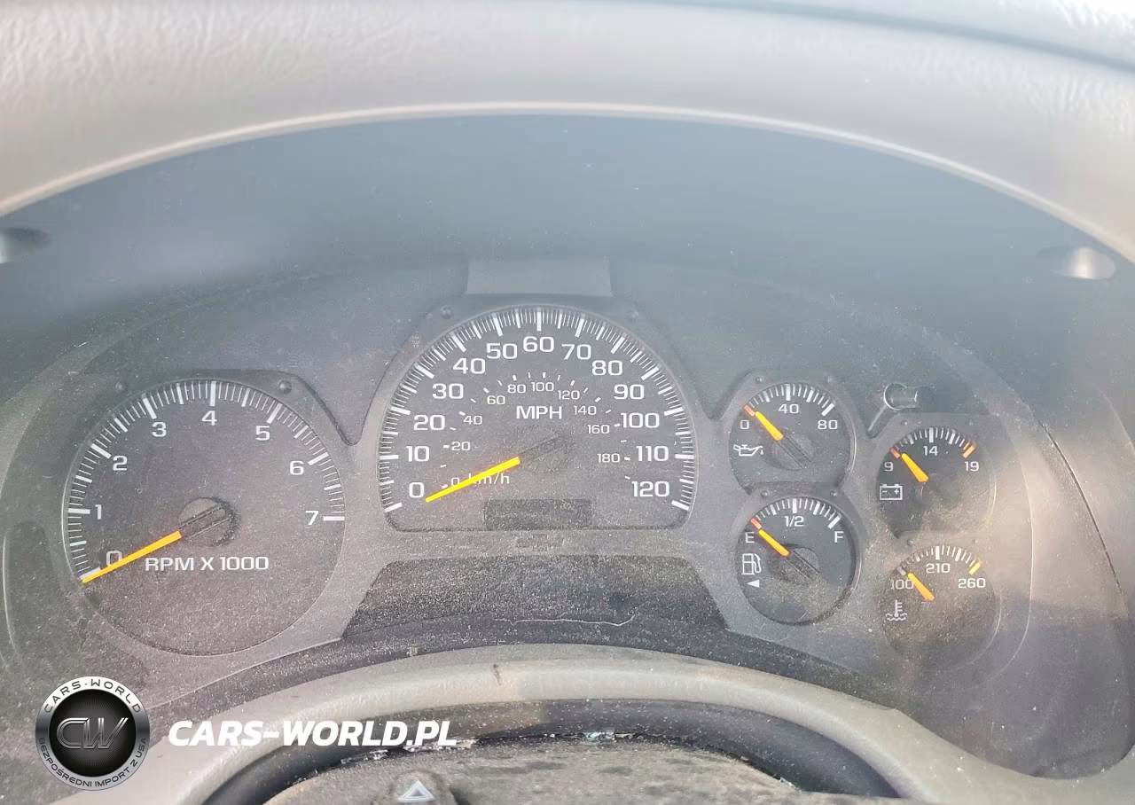 2003 Chevrolet Trailblazer VIN:1GNDT13S532374213 - 9