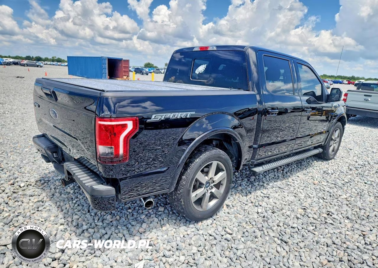 2016 Ford F150 Supercrew VIN:1FTEW1CP3GFC65697 - 3