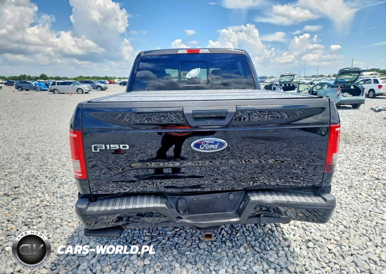 2016 Ford F150 Supercrew VIN:1FTEW1CP3GFC65697 - 6