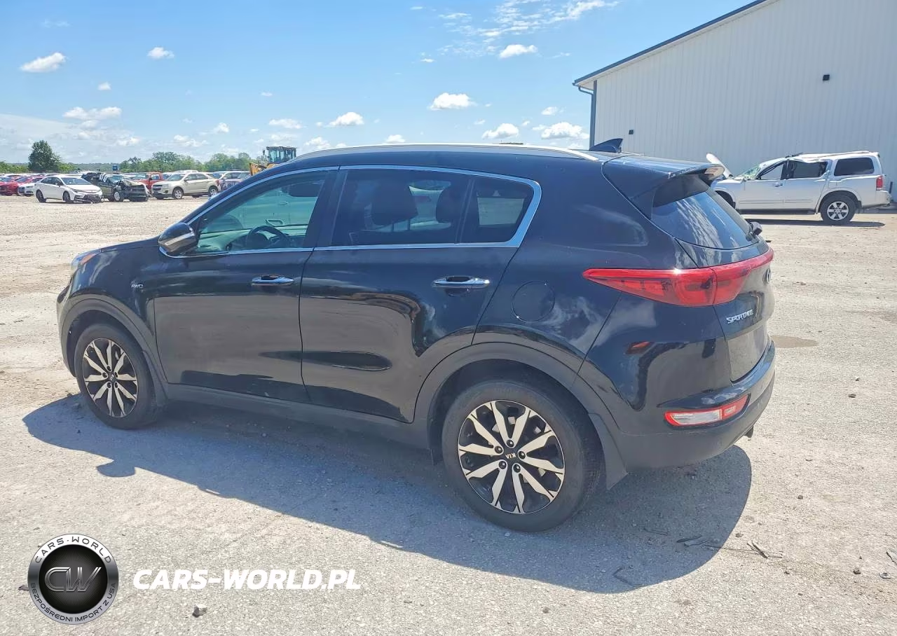 2017 Kia Sportage Ex VIN:KNDPNCAC9H7124250 - 2