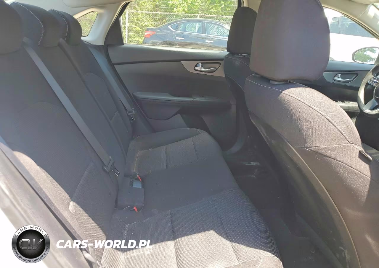 2019 Kia Forte Lxs VIN:3KPF24AD0KE062134 - 10
