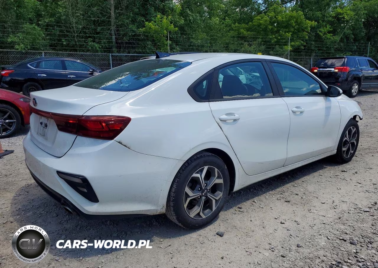 2019 Kia Forte Lxs VIN:3KPF24AD0KE062134 - 3