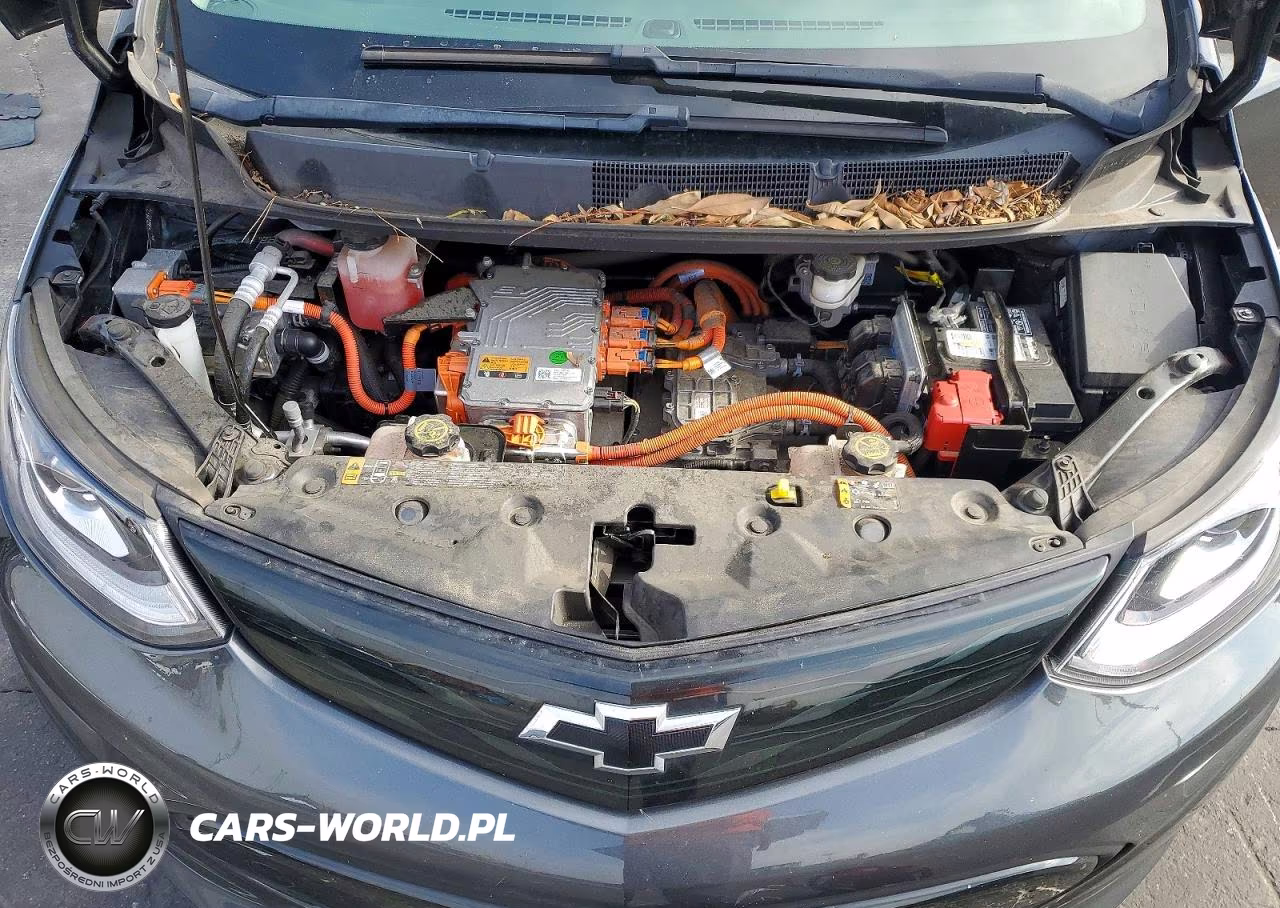 2019 Chevrolet Bolt Ev Lt VIN:1G1FY6S01K4150111 - 11