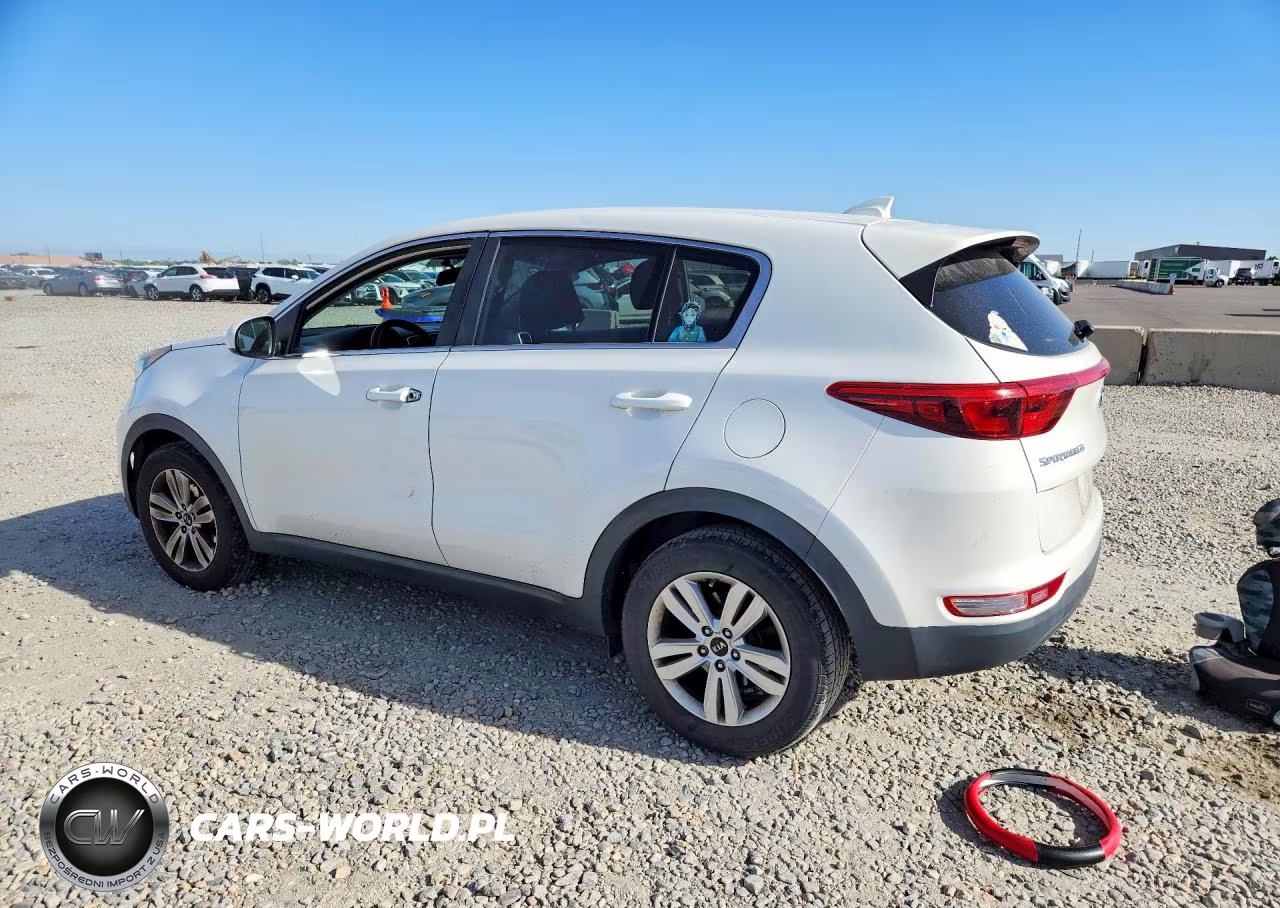 2019 Kia Sportage Lx VIN:KNDPM3AC5K7509461 - 2
